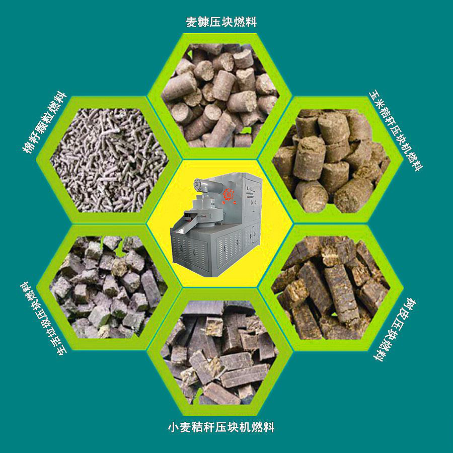 生物質能源成為世界發展的主流行業 生物質能源成為世界發展的主流行業
